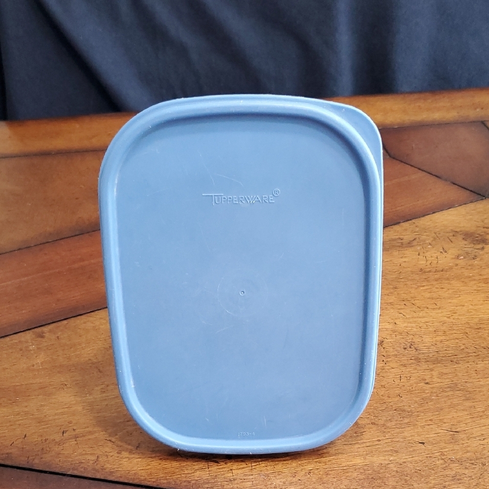Tupperware Blue Storage Container